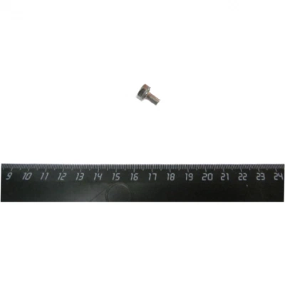 Винт CAS 50-101449 — DL крепления стойки индикатора