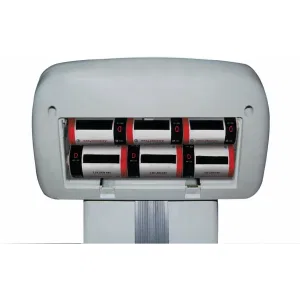 CAS Напольные весы DL-200 CAS Напольные весы DL-200