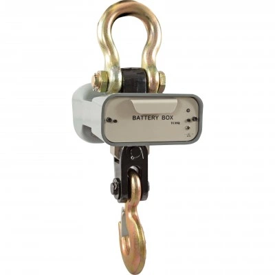 Крановые весы CAS 1 THA (Caston 1) Крановые весы CAS 1 THA (Caston 1)