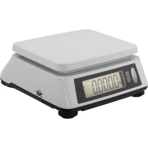CAS Электронные настольные весы SWN-03 CAS Электронные настольные весы SWN-03